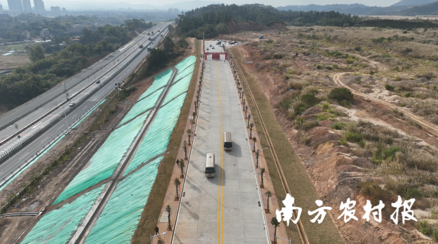 深河產(chǎn)業(yè)合作園區(qū)縱十路。