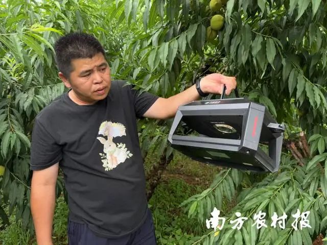 基因組所研發(fā)的便捷式性誘蟲情測報儀能夠自動識別害蟲種類并傳送到農(nóng)戶手機上。