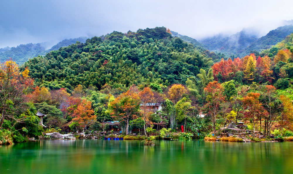 野趣溝