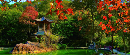野趣溝
