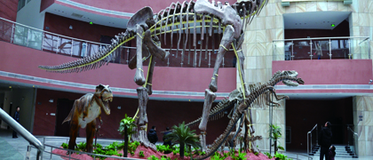 河源市恐龍博物館
