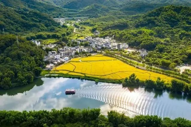 深入開展“千村示范、萬村整治”工程，廣東推動鄉(xiāng)村建設點上出彩面上美麗4.jpg